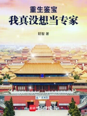 重生鉴宝：我真没想当专家