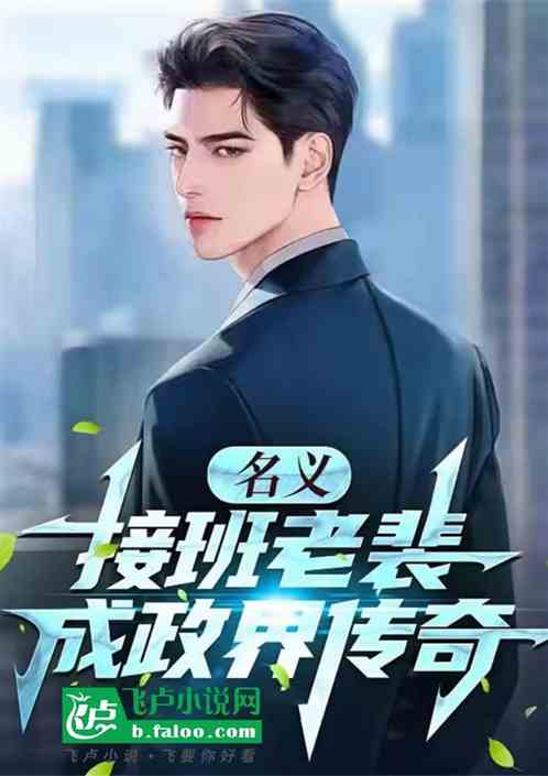 名义：接班老裴，我成政界传奇